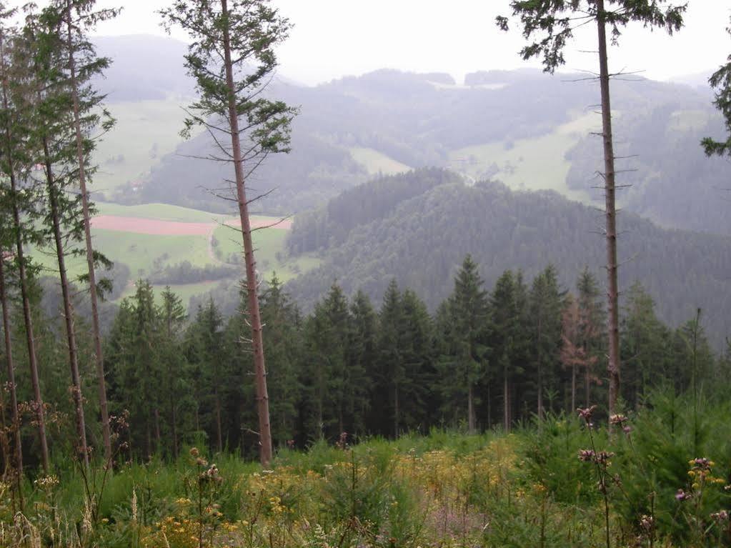 Gasthaus Ochsen Otel Mühlenbach Dış mekan fotoğraf