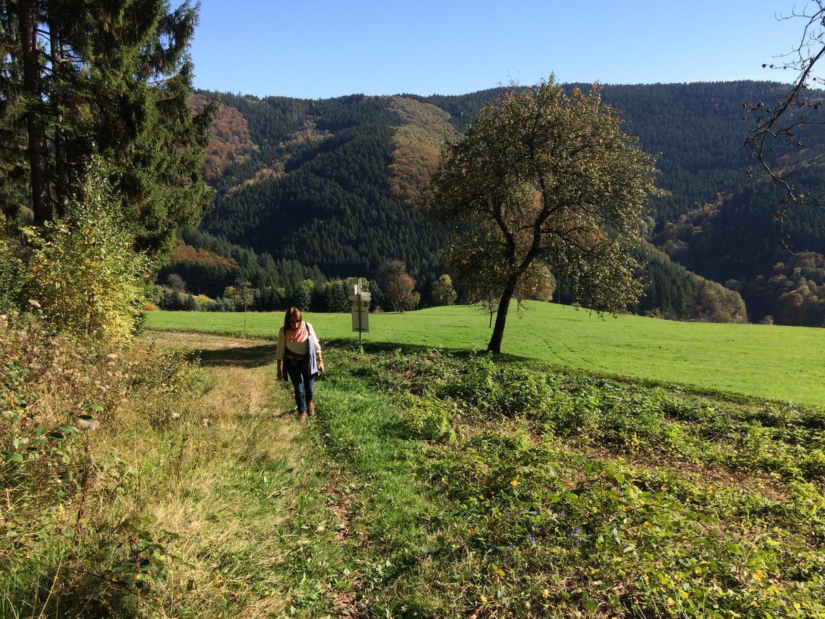 Gasthaus Ochsen Otel Mühlenbach Dış mekan fotoğraf